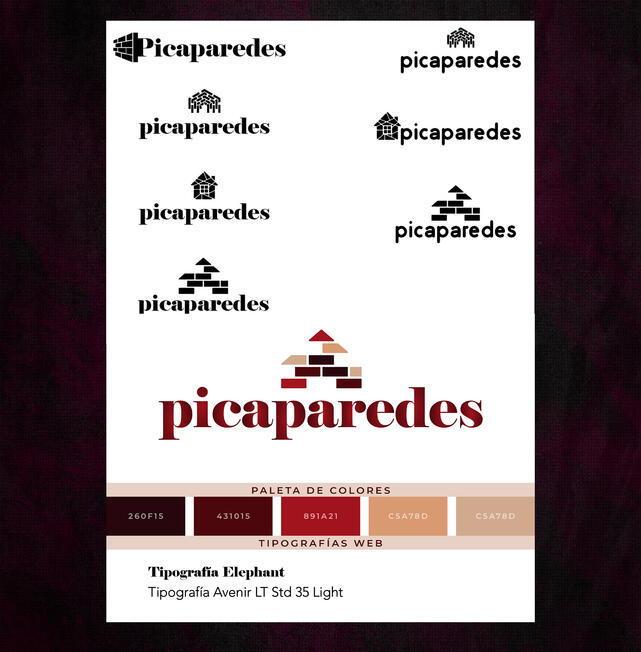 Picaparedes, Fictional Project